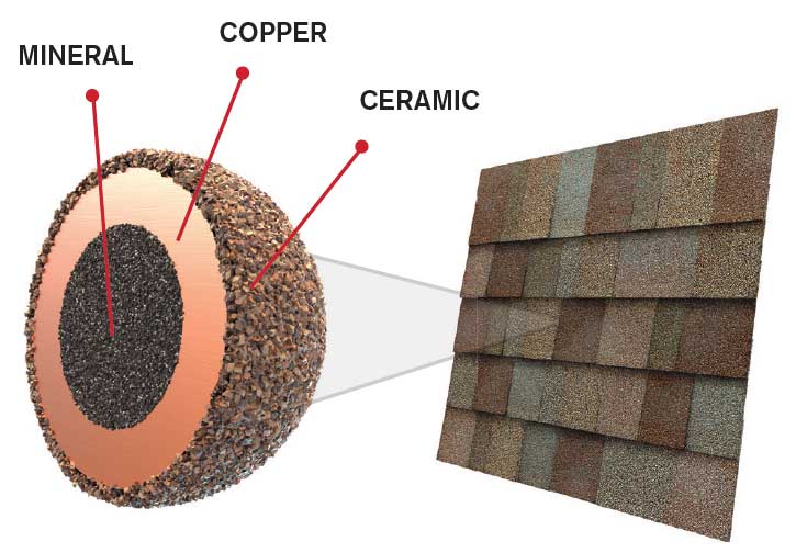 Colorado Elite Roofing & Solar Images