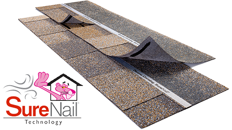 Colorado Elite Roofing & Solar Images